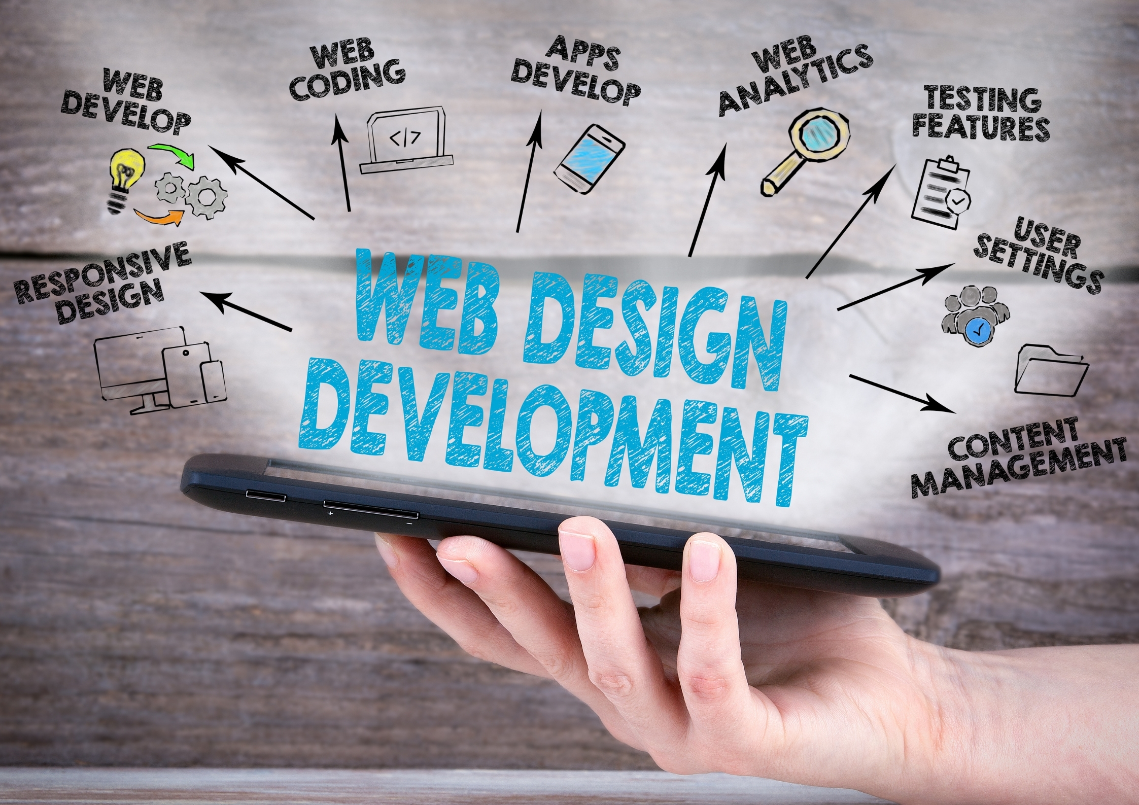 Digital Marketing Agency Hisar